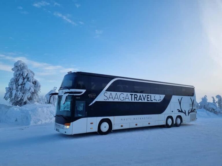 Rovaniemi: Insider Northern Lights Bus with Drinks & Snacks - The Value of the Experience