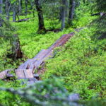 Rovaniemi: Korouoma Canyon and Auttiköngäs Falls Tour - Logistics and Practicalities