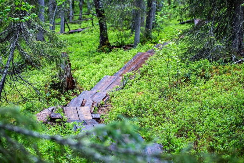Rovaniemi: Korouoma Canyon and Auttiköngäs Falls Tour - Logistics and Practicalities