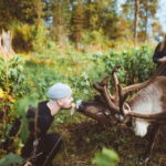 Rovaniemi: Meet Santa Claus and His Friends - What to Expect at Each Stage of the Tour