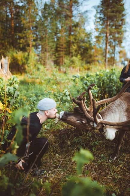 Rovaniemi: Meet Santa Claus and His Friends - What to Expect at Each Stage of the Tour