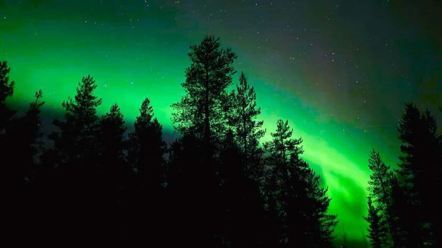 Rovaniemi: Night Tour in Search of the Aurora with BBQ - Considerations & Practical Tips
