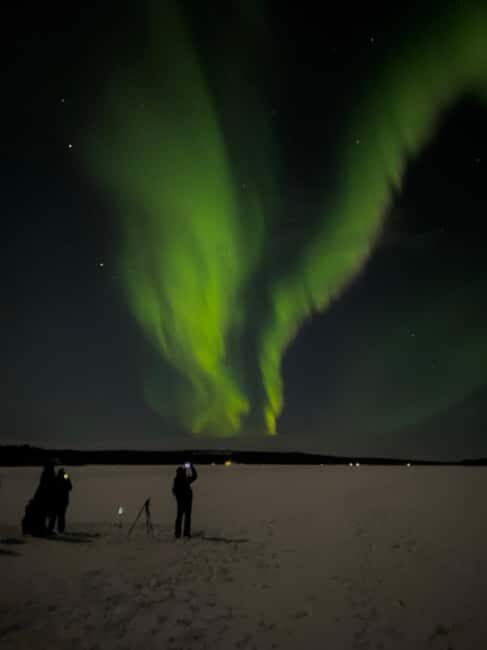 Rovaniemi: Northern Lights Hunt with Local Guides - What to Expect on the Tour