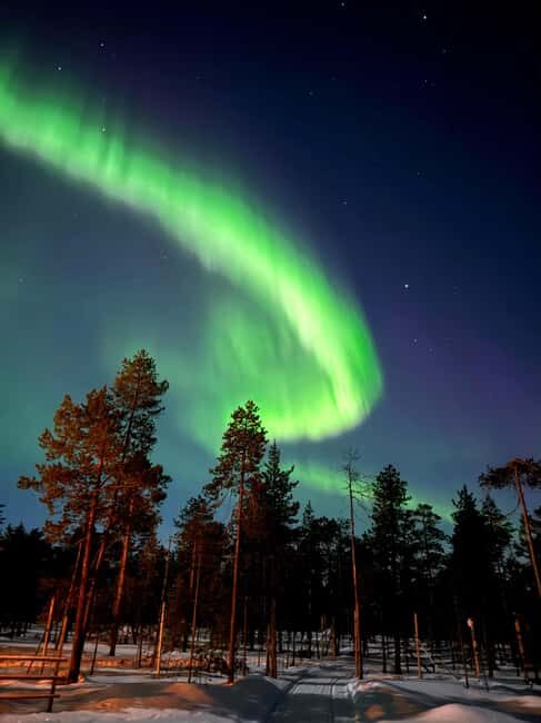 Rovaniemi: Northern Lights Safari on Electric Snowmobile - Authenticity and Eco-Conscious Travel