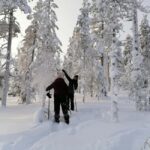 Rovaniemi: Private 3h Snowshoeing hike - The Sum Up
