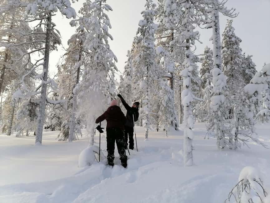 Rovaniemi: Private 3h Snowshoeing hike - The Sum Up