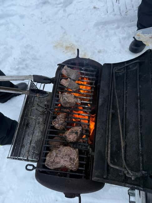 Rovaniemi: Private Snowmobile Trip With Local Guide - Scenic Hilltops and Photo Opportunities