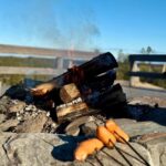 Rovaniemi: Reindeer Farm, Berry Picking, and Fire-Making - Practical Details and What to Expect