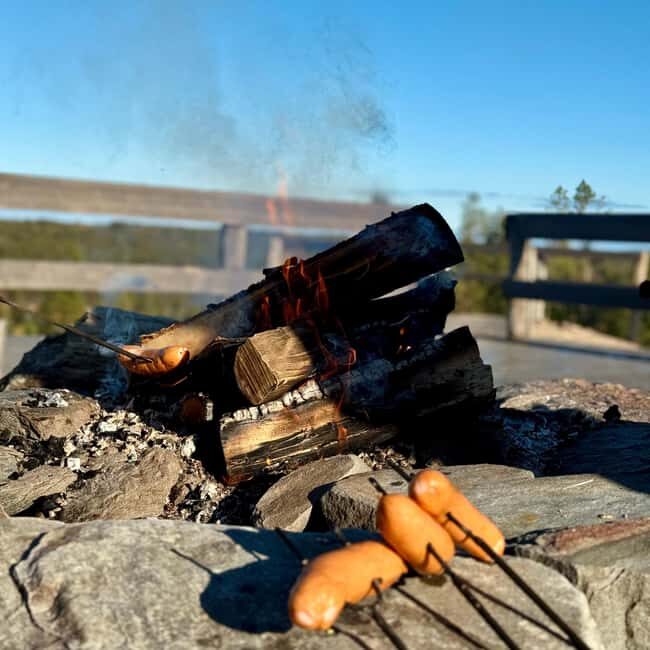 Rovaniemi: Reindeer Farm, Berry Picking, and Fire-Making - Practical Details and What to Expect