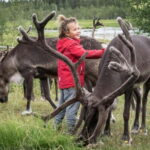 Rovaniemi: Reindeer Farm Visit at Autumn - What to Expect During the Tour