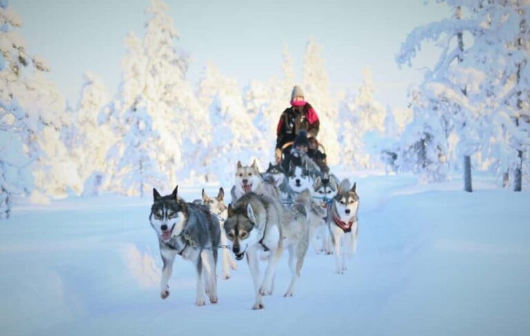 Rovaniemi: Reindeer & Husky Safari with Lunch - Final Thoughts