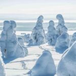 Rovaniemi: Riisitunturi and Korouoma Waterfalls Hiking Tour - What Reviewers Say