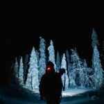 Rovaniemi: Riisitunturi National Park Night Photography Tour - A Closer Look at the Experience