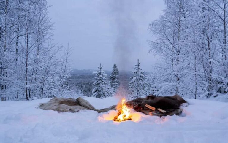 Rovaniemi: Snowmobile Sleigh Ride with Campfire Coffee - Campfire, Coffee, and Stories