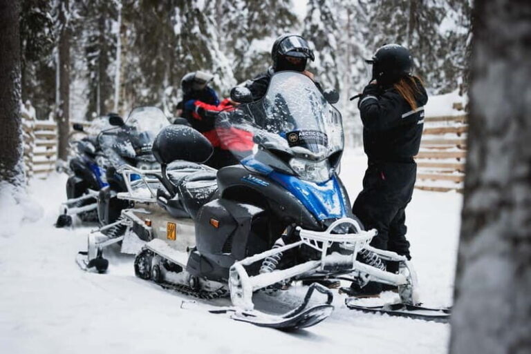 Rovaniemi: Snowmobile Tour and Reindeer Experience - The Practical Side: Details and Tips