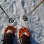 Rovaniemi: Snowshoeing Day Trip with Lunch - Pyhä-Luosto - What Makes This Tour Stand Out