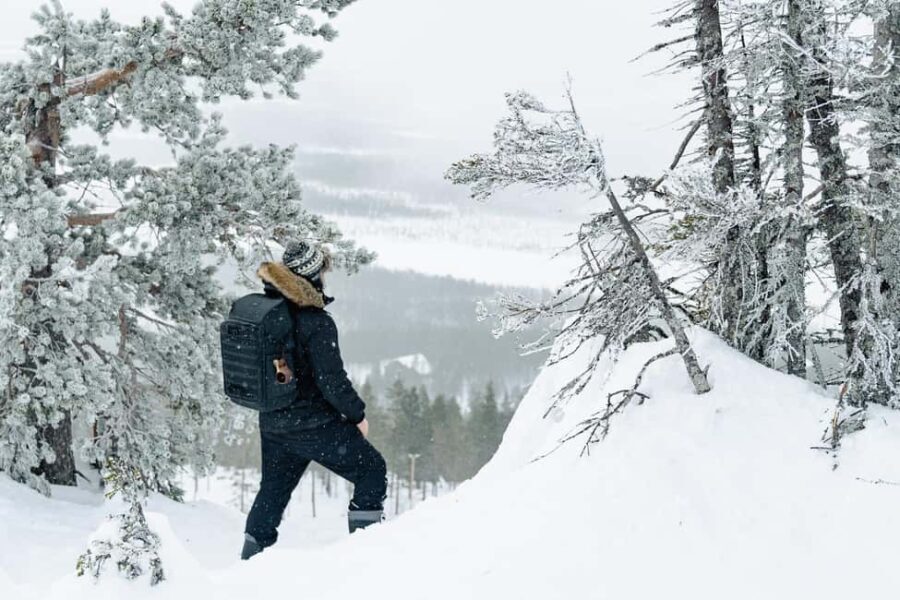 Rovaniemi: Snowshoeing in the Arctic Wilderness - Practical Details and Logistics