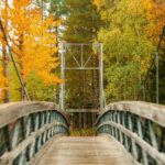 Rovaniemi: Vaattunkiköngäs Trail Arctic Circle Forest Hike - Exploring the Vaattunkiköngäs Trail in Detail