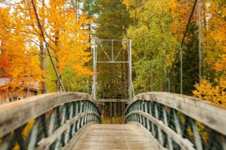 Rovaniemi: Vaattunkiköngäs Trail Arctic Circle Forest Hike - Exploring the Vaattunkiköngäs Trail in Detail