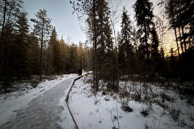 Rovaniemi Vikaköngäs Sightseeing & Photography Tour - A Detailed Look at the Vikaköngäs Tour Experience