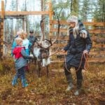 Rovaniemi: Walk with Reindeer - What to Expect from the Reindeer Walk