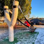 Rovaniemi: Walking Tour with a Local Guide - Introduction: What You Can Expect from the Rovaniemi Walking Tour