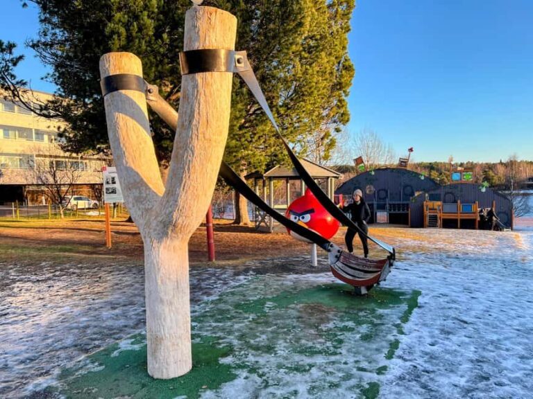 Rovaniemi: Walking Tour with a Local Guide - Introduction: What You Can Expect from the Rovaniemi Walking Tour