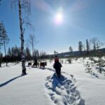 Rovaniemi: Winter Horseback Ride on Snowy Hills and Forests - What to Expect and How It Breaks Down