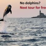 Rovinj: Dolphin Watching Sunset Speedboat Tour with Drinks - The Details: What’s Included and What to Keep in Mind