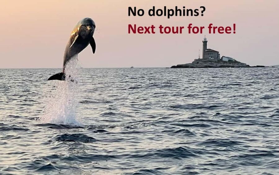 Rovinj: Dolphin Watching Sunset Speedboat Tour with Drinks - The Details: What’s Included and What to Keep in Mind