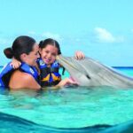 Royal Garragon with Dolphin Encounter in Isla Mujeres - Who Will Appreciate This Tour?