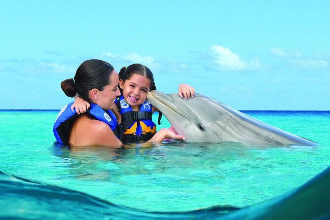 Royal Garragon with Dolphin Encounter in Isla Mujeres - Who Will Appreciate This Tour?
