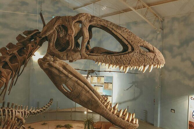 Royal Ontario Museum Toronto Tour with Skip-the-Line Tickets - The Value of Guided Exploration