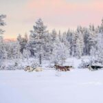 Ruka: Husky Ride and Farm Visit + Fireside Treats - Final Thoughts