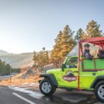 Rutting Around Elk Viewing Tour - Why the Rutting Around Elk Viewing Tour Is Worth It