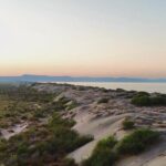 RZR Tour of Mogote Dunes and Sandboarding - Sandboarding: The Ultimate Dune Challenge