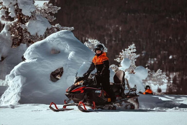 Saariselkä: One Hour Snowmobile Safari - The Value of the Experience
