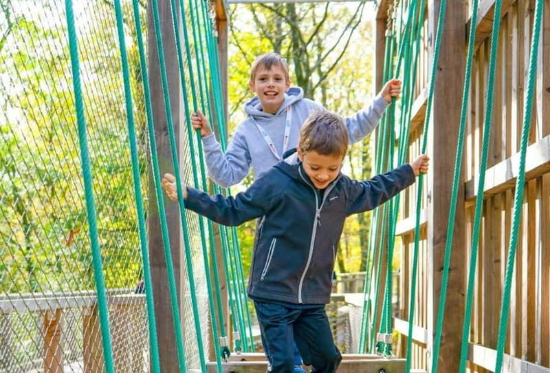 Saarland: Treetop Walk Saarschleife & Lookout Tower - Who Will Love This Experience?