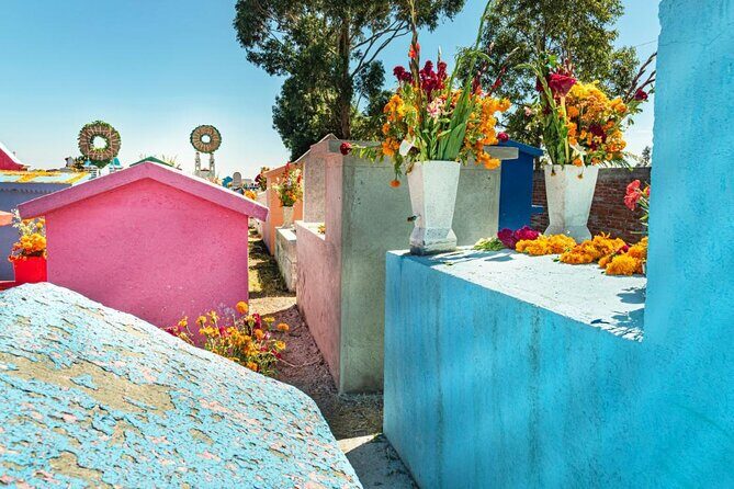 Sacred Souls: Dia de los Muertos Cultural Tour - Who Is This Tour Best For?