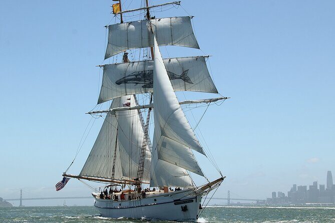 Sail San Francisco Bay on the Historic Brigantine Matthew Turner - Analyzing the Value and Cost