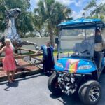Saint Augustine: Outdoor Art Tour by Electric Golf Cart - The Practical Side: What You Need to Know