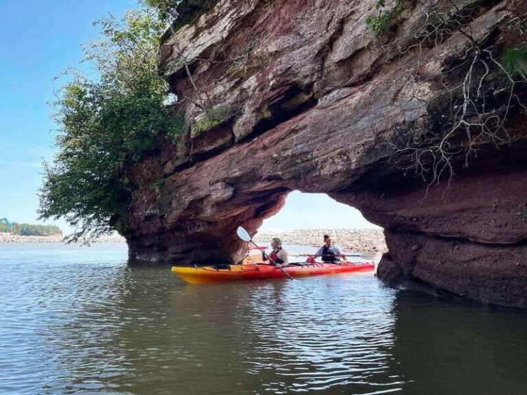Saint John: Guided Kayaking Tour of St. Martins Sea Caves - Wildlife and Nature Watching