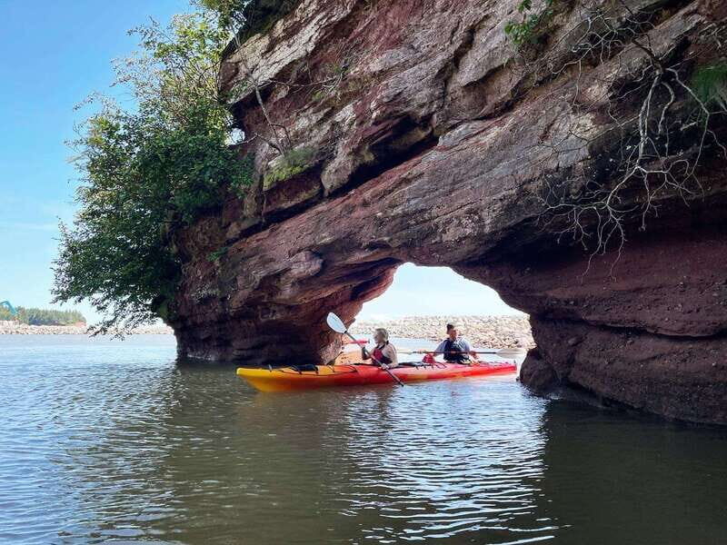 Saint John: Guided Kayaking Tour of St. Martins Sea Caves - Wildlife and Nature Watching