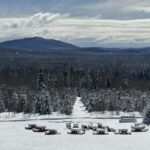Sainte-Apolline-de-Patton: Guided Wolf Sanctuary Tour - An Honest Look at the LUPO Wolf Sanctuary Guided Tour