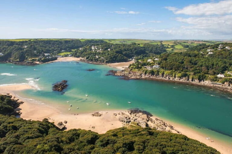 Salcombe: Estuary Explorer Sea Kayak Tour - What to Expect from the Tour