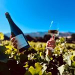 Salinas Valley, CA: Wine tasting experience - The Experience at Odonata Wines: What to Expect