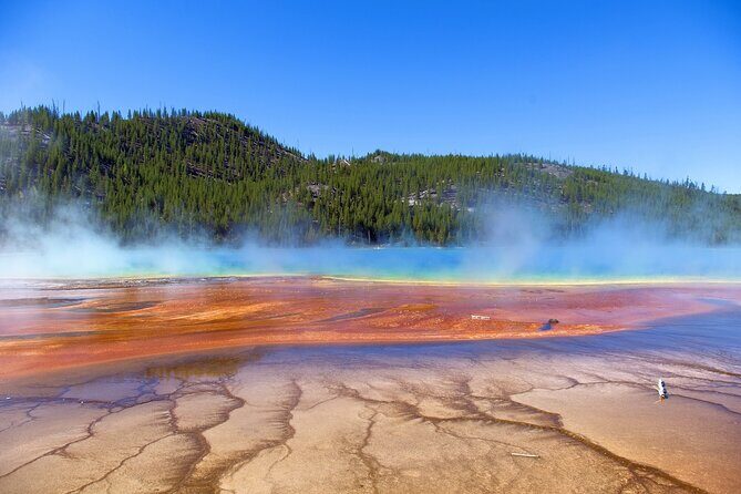 Salt Lake City Departure Yellowstone Park 3-day Panoramic Tour - Pricing & Value