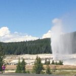 Salt Lake City to Yellowstone and Mt Rushmore 4 Day Tour - Who Would Love This Tour