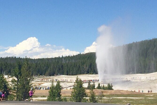 Salt Lake City to Yellowstone and Mt Rushmore 4 Day Tour - Who Would Love This Tour