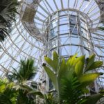 San Antonio: Botanical Garden Admission Ticket - Who Should Visit the San Antonio Botanical Garden?